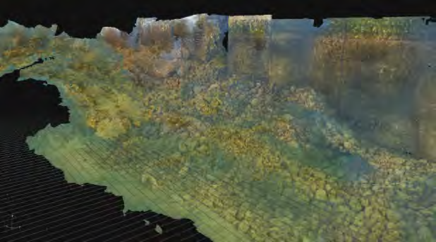 水中3Dモデリングカメラ「Discovery Stereo」